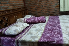 IMG20250222143214_1024x578